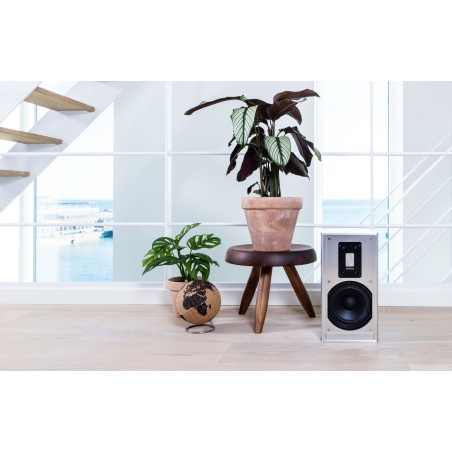 Piega Premium 301
