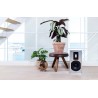 Piega Premium 301