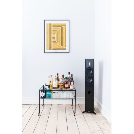Piega Premium 701