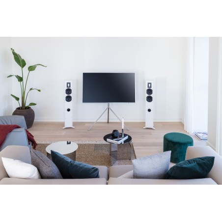 Piega Premium 701