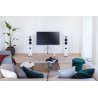 Piega Premium 701