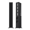 Piega Master Line Source 3