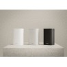 Piega Bundle Ace 30 TX&RX Wireless
