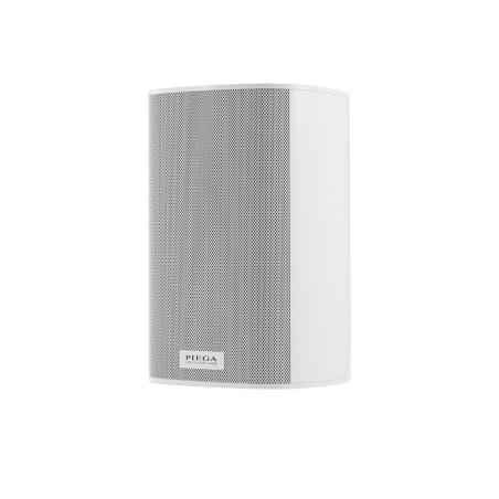 Piega Bundle Ace 30 TX&RX Wireless
