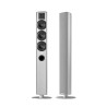 Piega Bundle Ace 50 TX&RX Wireless