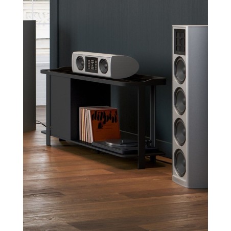 Piega Coax Center 211