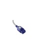 Isotek EVO3 Sequel CH auf IEC C19/2.0m