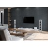 Piega Premium Wireless 501 Gen2