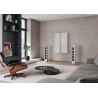 Piega Premium Wireless 501 Gen2