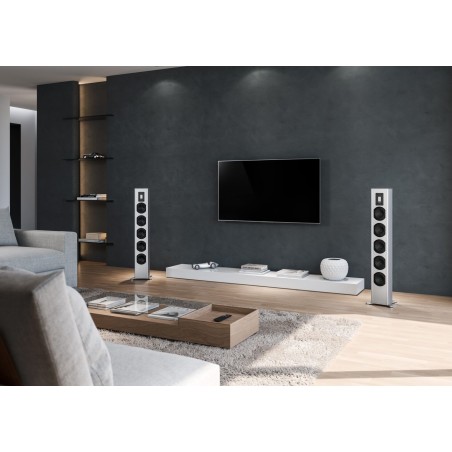 Piega Premium Wireless 501 Gen2