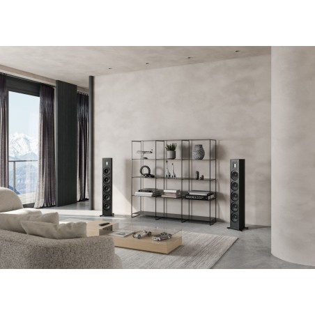 Piega Premium Wireless 701 Gen2