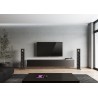 Piega Premium Wireless 701 Gen2
