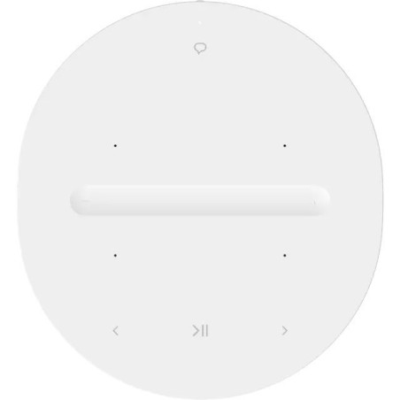 SONOS Era 100