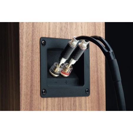 Pro-Ject Speaker Box 10 S2