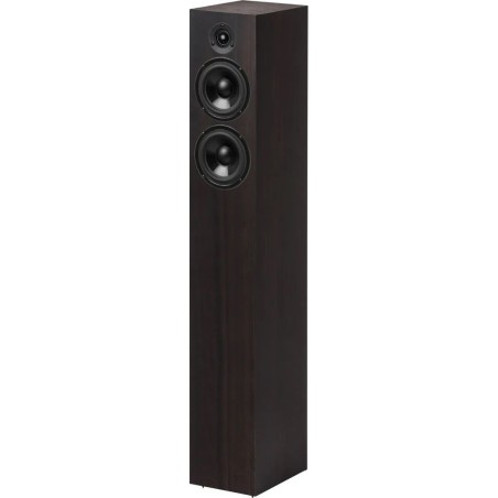 Pro-Ject Speaker Box 10 S2