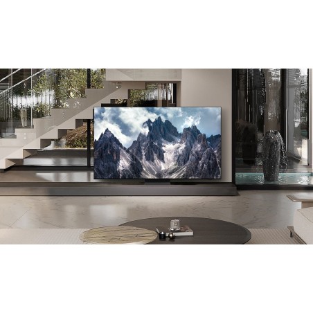 Samsung QE77S95DATXZU