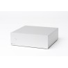 Pro-Ject Amp Box DS2