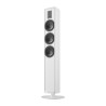 Piega Premium 701 Gen2