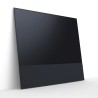 Canvas HiFi CANVAS SOLO 55'' inkl. TV Halter 