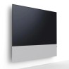 Canvas HiFi CANVAS SOLO 55'' inkl. TV Halter 