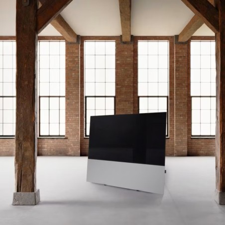 Canvas HiFi CANVAS SOLO 55'' inkl. TV Halter 