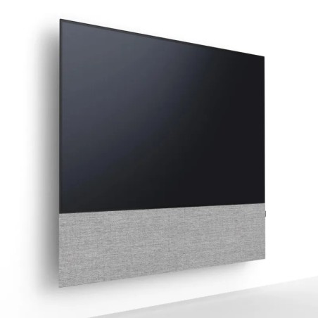 Canvas HiFi CANVAS SOLO 55'' inkl. TV Halter 