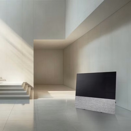 Canvas HiFi CANVAS SOLO 55'' inkl. TV Halter 