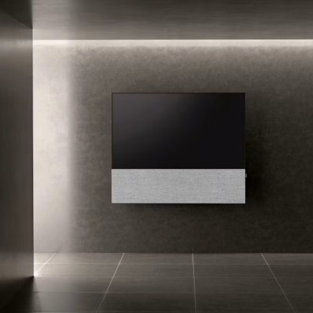 Canvas HiFi CANVAS SOLO 55'' inkl. TV Halter 