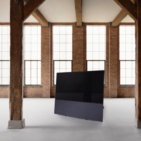 Canvas HiFi CANVAS SOLO 55'' inkl. TV Halter 