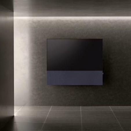 Canvas HiFi CANVAS SOLO 55'' inkl. TV Halter 