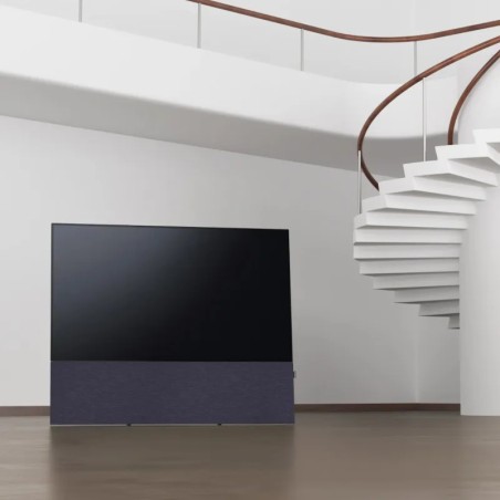 Canvas HiFi CANVAS SOLO 55'' inkl. TV Halter 
