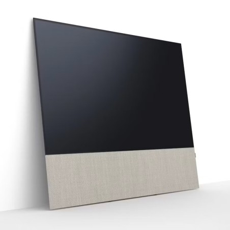 Canvas HiFi CANVAS SOLO 55'' inkl. TV Halter 