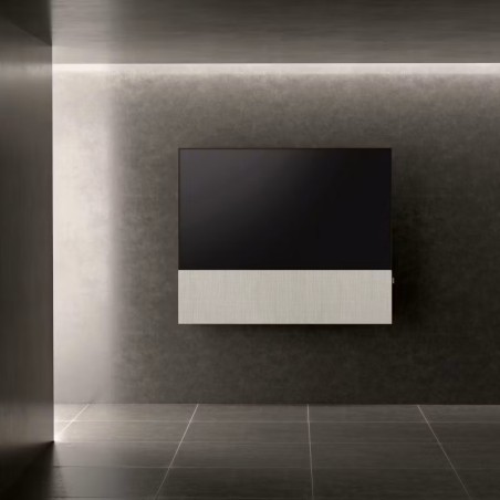 Canvas HiFi CANVAS SOLO 55'' inkl. TV Halter 