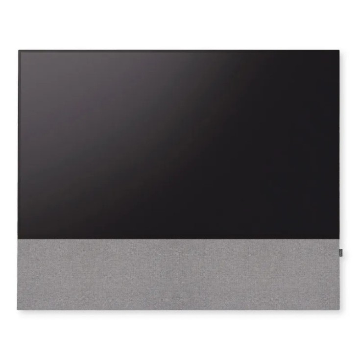 Canvas HiFi CANVAS SOLO 55'' inkl. TV Halter 