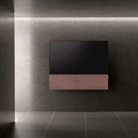 Canvas HiFi CANVAS SOLO 55'' inkl. TV Halter 