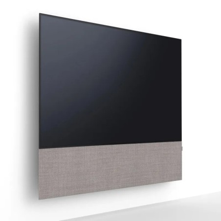 Canvas HiFi CANVAS SOLO 55'' inkl. TV Halter 