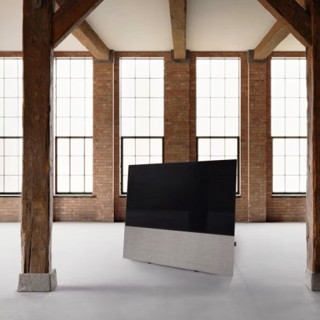 Canvas HiFi CANVAS SOLO 55'' inkl. TV Halter 