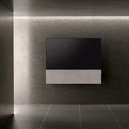 Canvas HiFi CANVAS SOLO 55'' inkl. TV Halter 