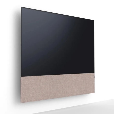 Canvas HiFi CANVAS SOLO 55'' inkl. TV Halter 