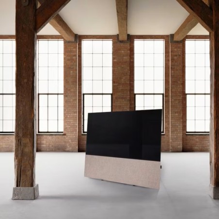 Canvas HiFi CANVAS SOLO 55'' inkl. TV Halter 