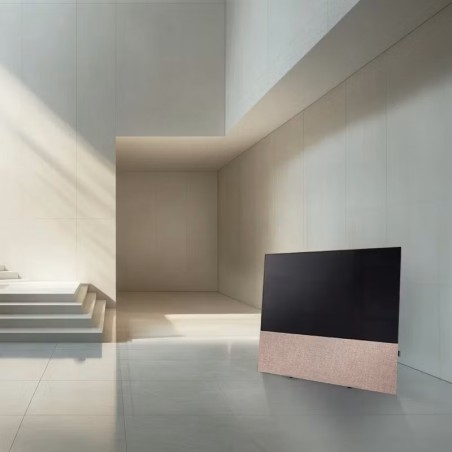 Canvas HiFi CANVAS SOLO 55'' inkl. TV Halter 