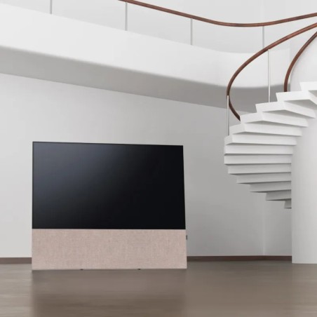 Canvas HiFi CANVAS SOLO 55'' inkl. TV Halter 