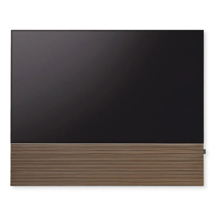 Canvas HiFi CANVAS SOLO 55'' inkl. TV Halter 