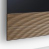 Canvas HiFi CANVAS SOLO 55'' inkl. TV Halter 