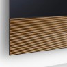 Canvas HiFi CANVAS SOLO 55'' inkl. TV Halter 