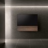Canvas HiFi CANVAS SOLO 55'' inkl. TV Halter 