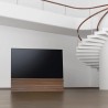 Canvas HiFi CANVAS SOLO 55'' inkl. TV Halter 