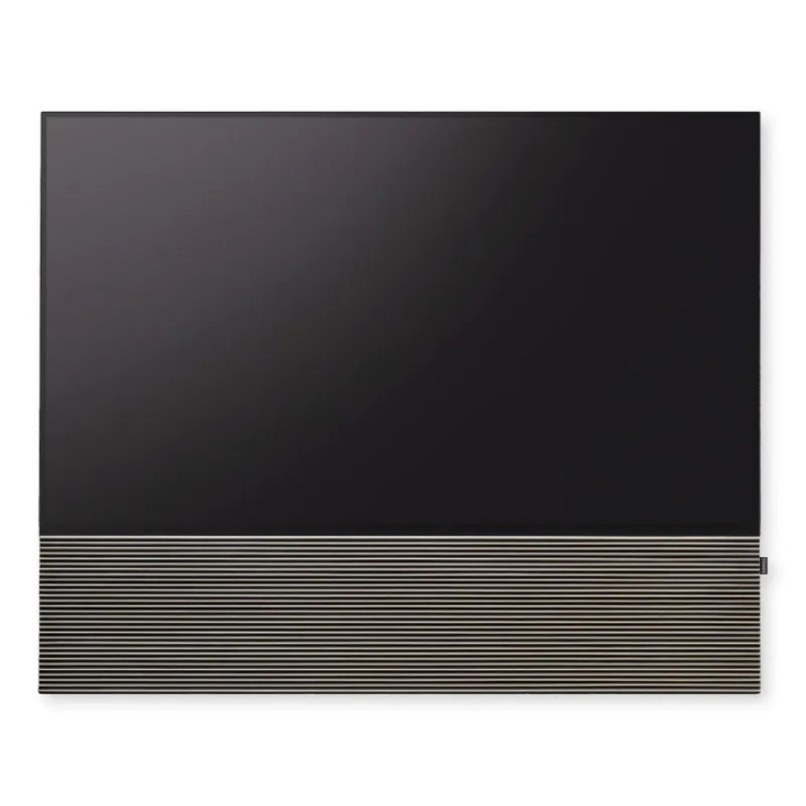 Canvas HiFi CANVAS SOLO 55'' inkl. TV Halter 