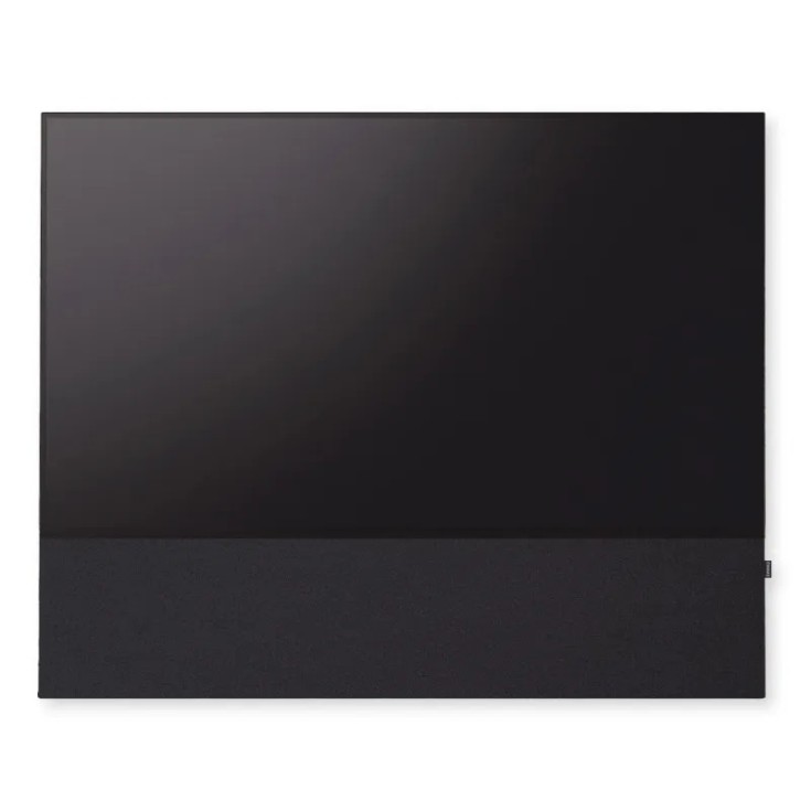 Canvas HiFi CANVAS SOLO 65'' inkl. TV Halter 