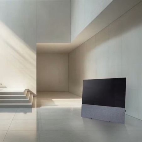 Canvas HiFi CANVAS SOLO 65'' inkl. TV Halter 